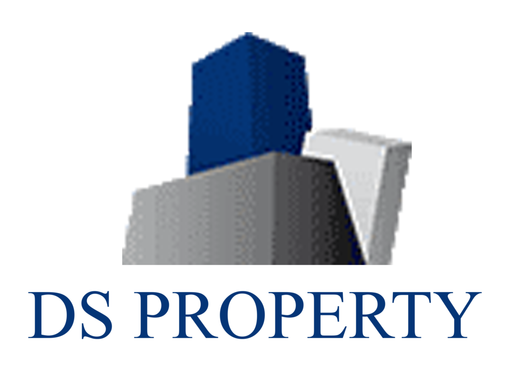 DS PROPERTY